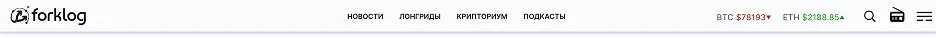 Top navigation detail