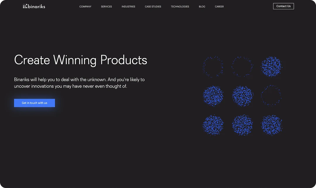 Binariks — technology consulting reference site